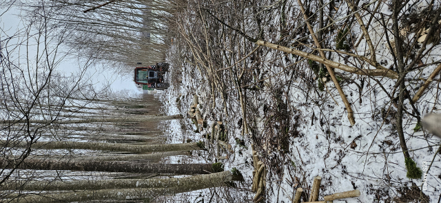 Foto 3, ZĀĢĒ MALKU. Citi darbi ar motorzāģi un krūmgriezi. Tālr. 22453572.